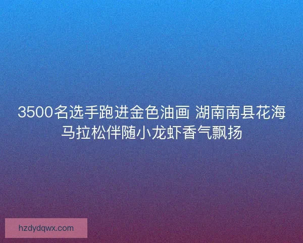 3500名选手跑进金色油画 湖南南县花海马拉松伴随小龙虾香气飘扬