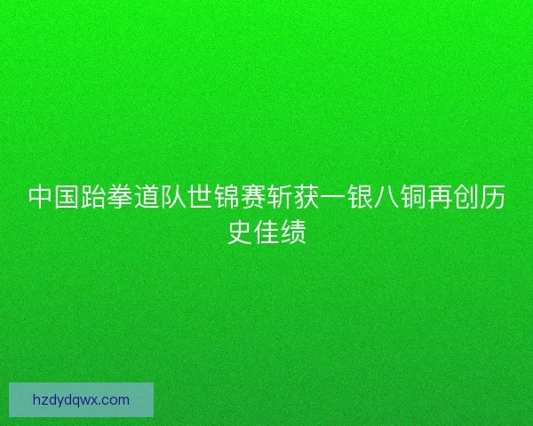 中国跆拳道队世锦赛斩获一银八铜再创历史佳绩