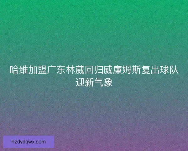 哈维加盟广东林葳回归威廉姆斯复出球队迎新气象
