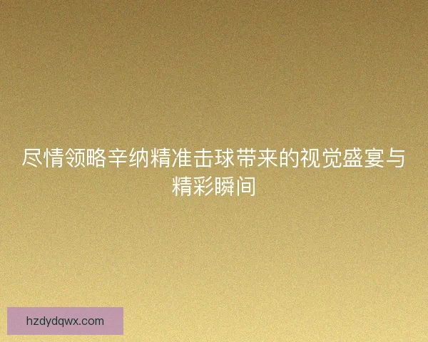 尽情领略辛纳精准击球带来的视觉盛宴与精彩瞬间